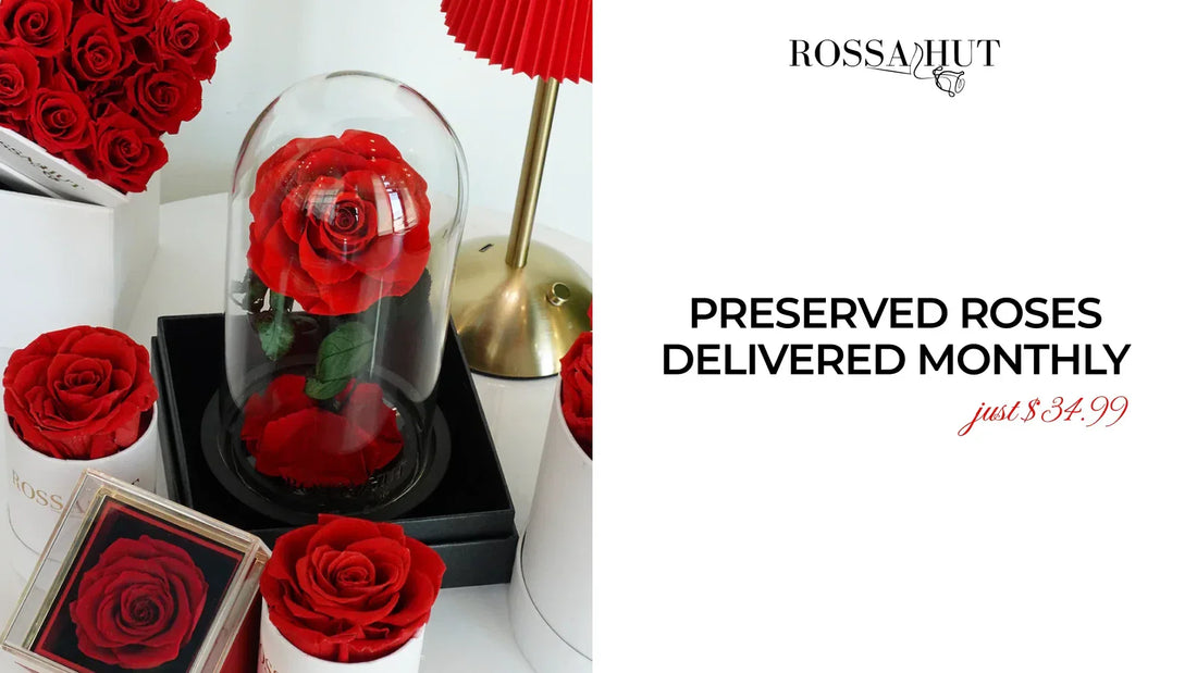 Preserved Roses Delivered Monthly - Just $34.99
