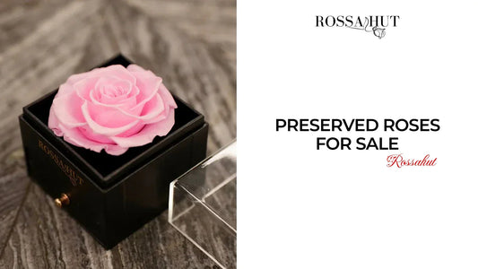 Preserved roses for sale