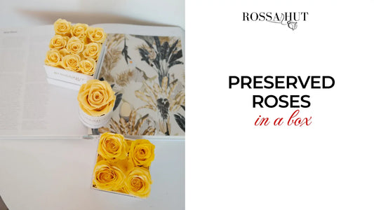 Preserved Roses In A Box  | Rossahut Canada