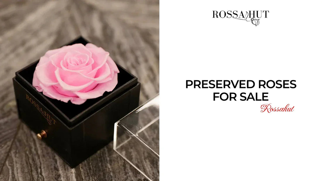 Preserved roses for sale