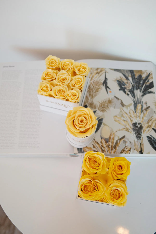 Square Box Rose