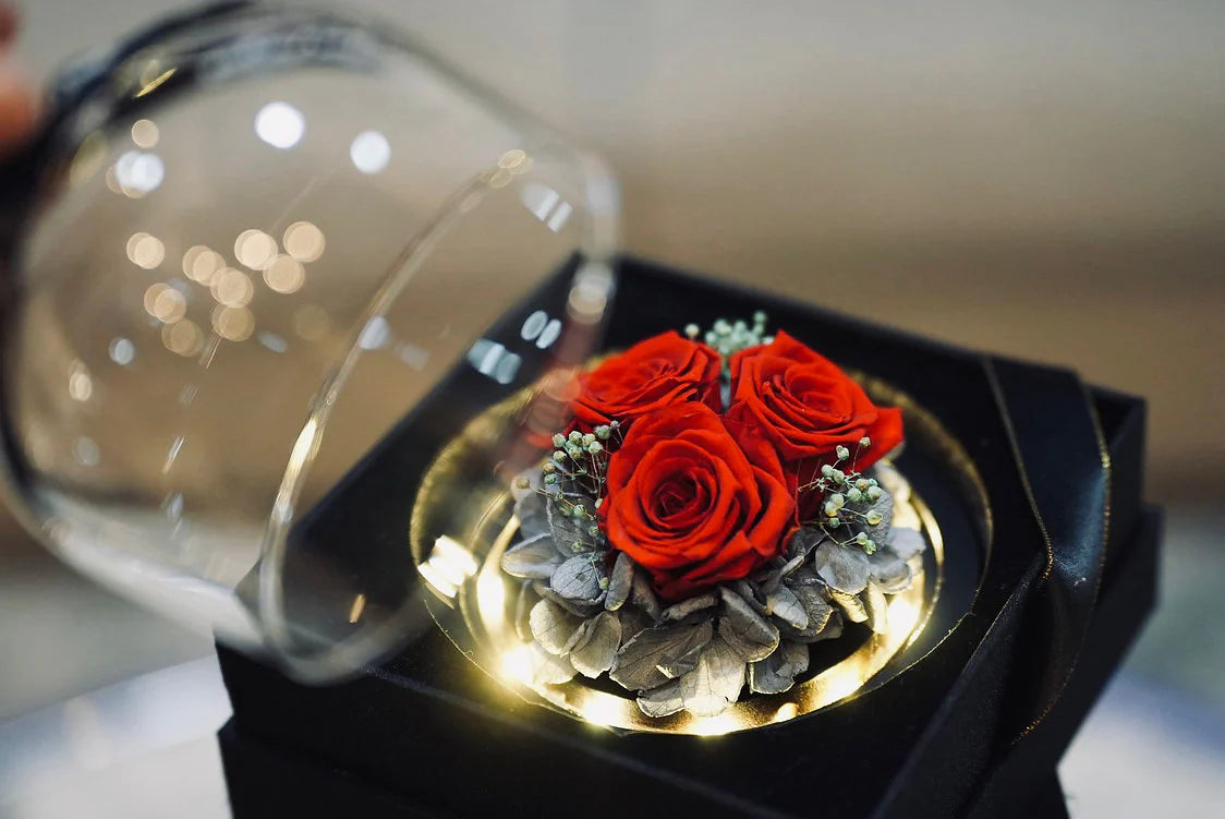Red - Mini Enchanted