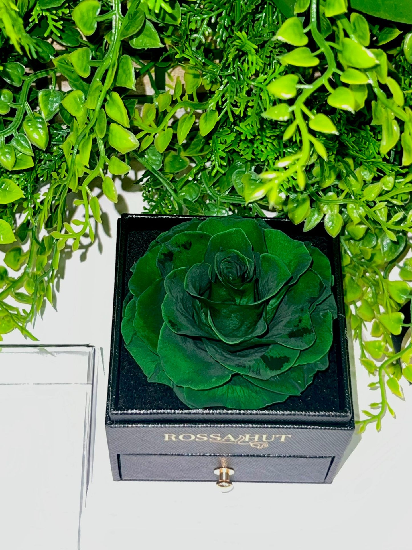Jewellery Rose - green image 0
